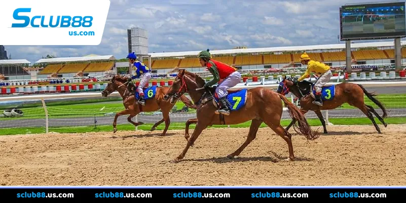 Hướng dẫn đọc tỷ lệ kèo và các loại cược cơ bản